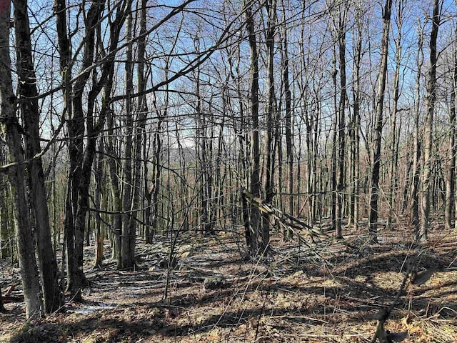 LOT171 Frostline Ct, Davis WV, 26260 land for sale