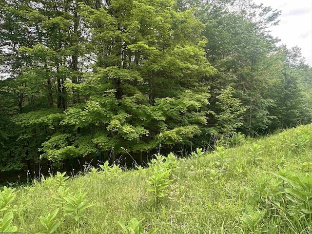 LOT171 Frostline Ct, Davis, WV 26260