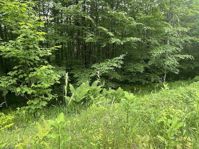 LOT171 Frostline Ct, Davis, WV 26260