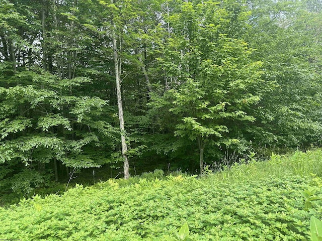 LOT171 Frostline Ct, Davis, WV 26260