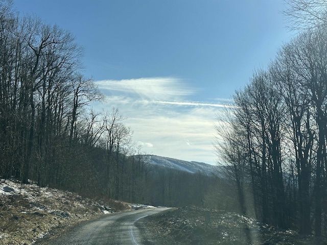 Listing photo 3 for LOT171 Frostline Ct, Davis WV 26260