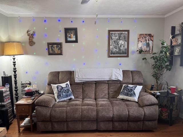 living room with ornamental molding, wood-type flooring, and a textured ceiling