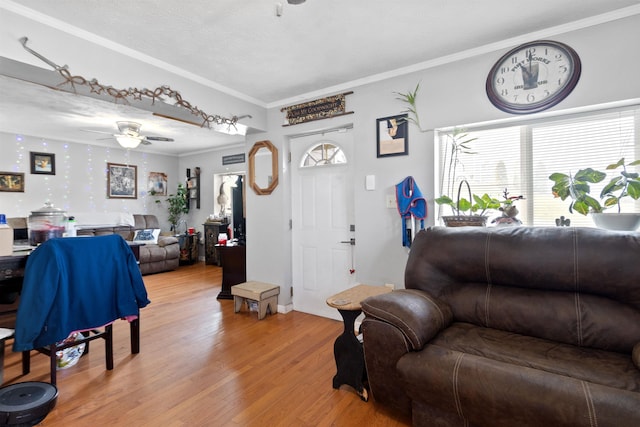 living room featuring crown molding, ceiling fan, and light hardwood / wood-style flooring