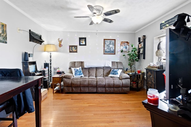 living room with ceiling fan, ornamental molding, a textured ceiling, and light wood-type flooring