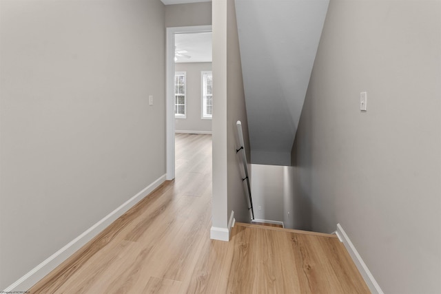 staircase featuring wood-type flooring