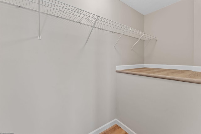 walk in closet featuring wood-type flooring