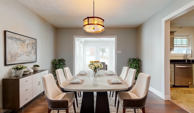 dining space featuring sink and dark hardwood / wood-style flooring