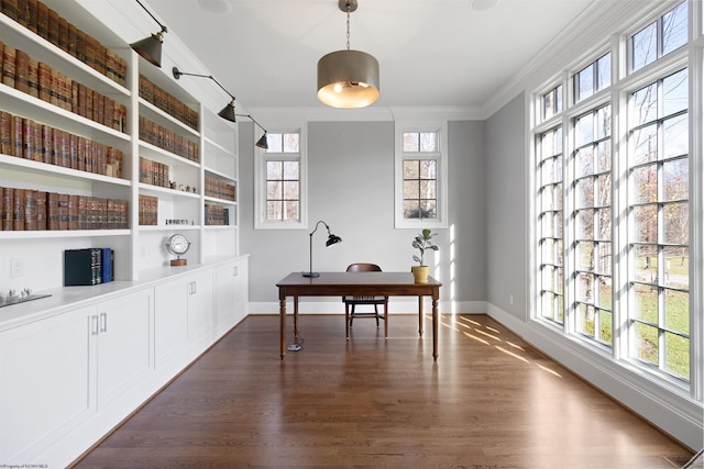 office featuring crown molding, plenty of natural light, and dark hardwood / wood-style flooring