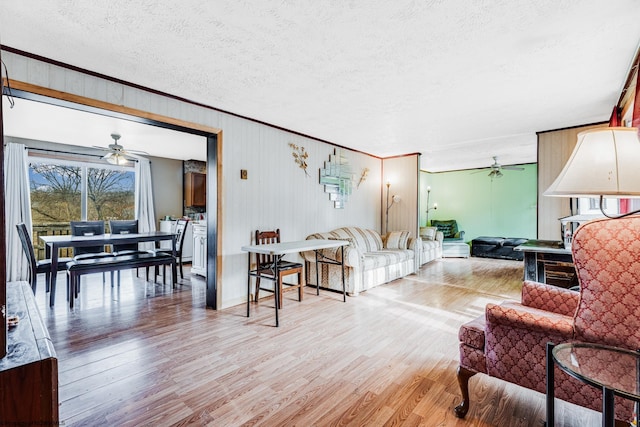 living room with ceiling fan, ornamental molding, light hardwood / wood-style floors, and a textured ceiling