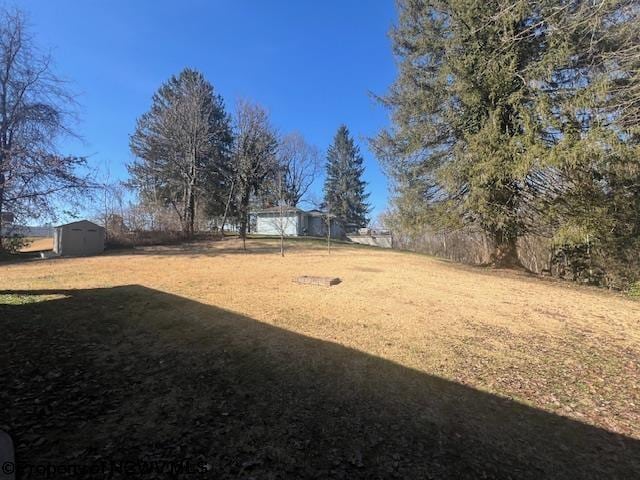 view of yard featuring a shed