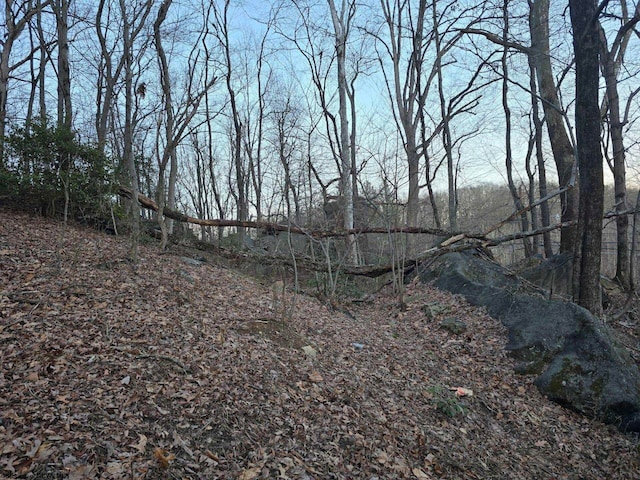 167 Lincoln St, Grafton, WV 26354