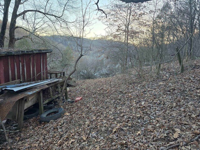 167 Lincoln St, Grafton, WV 26354