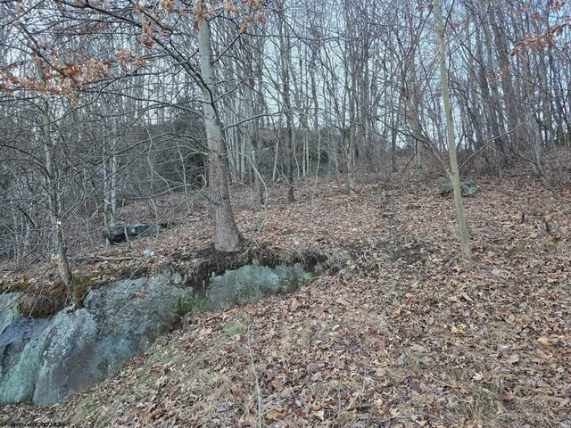 167 Lincoln St, Grafton, WV 26354
