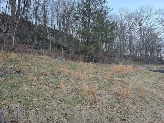 167 Lincoln St, Grafton, WV 26354