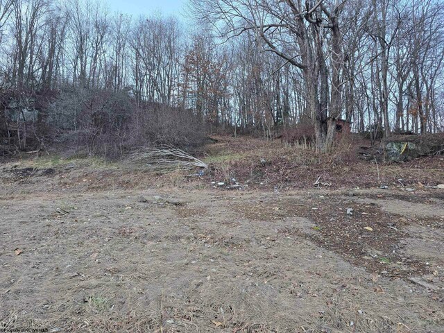 167 Lincoln St, Grafton, WV 26354