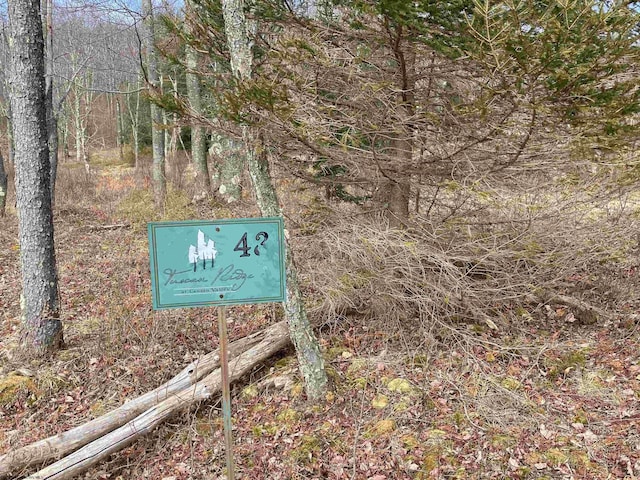 LOT43 Canal St, Davis WV, 26260 land for sale