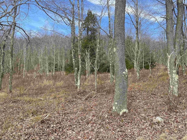 Listing photo 2 for LOT43 Canal St, Davis WV 26260