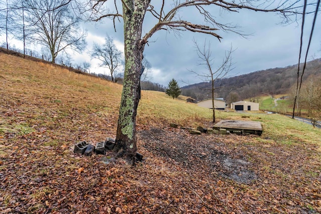 view of yard with a mountain view and a rural view