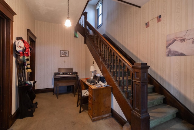 stairway featuring carpet flooring