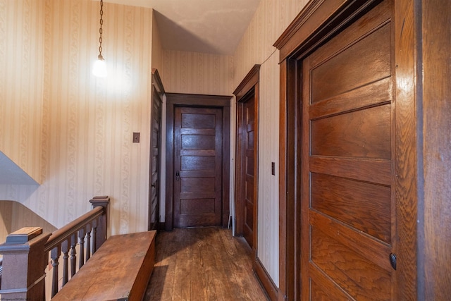 hall with dark wood-type flooring