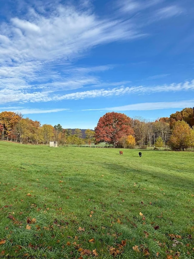 65 Friel Hill Rd, Huttonsville, WV 26273