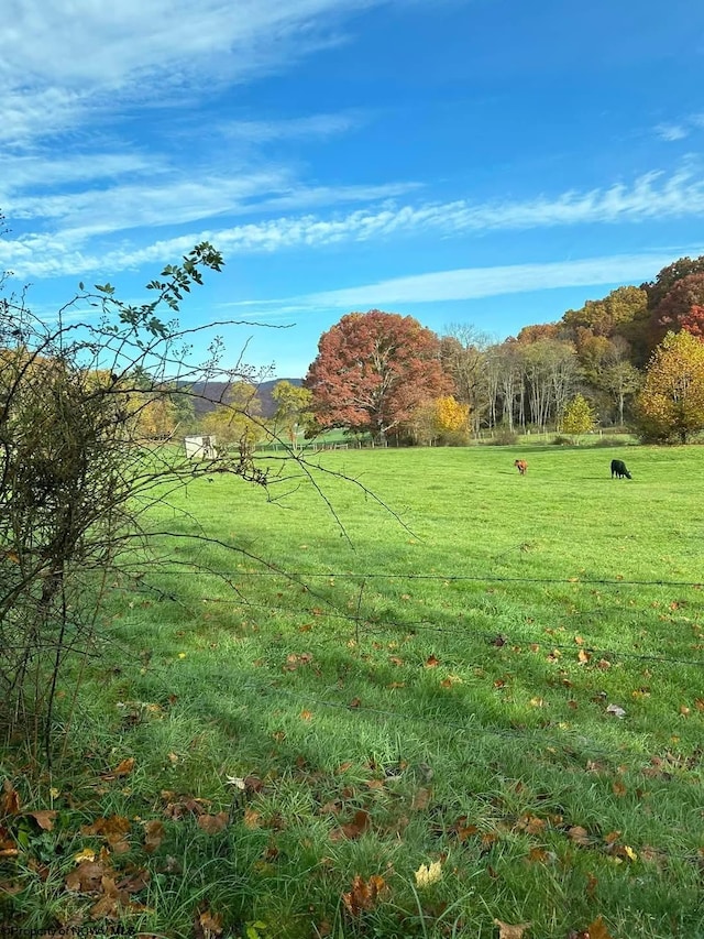 65 Friel Hill Rd, Huttonsville, WV 26273