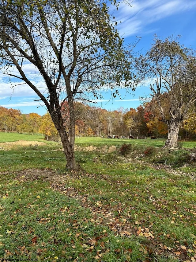65 Friel Hill Rd, Huttonsville, WV 26273