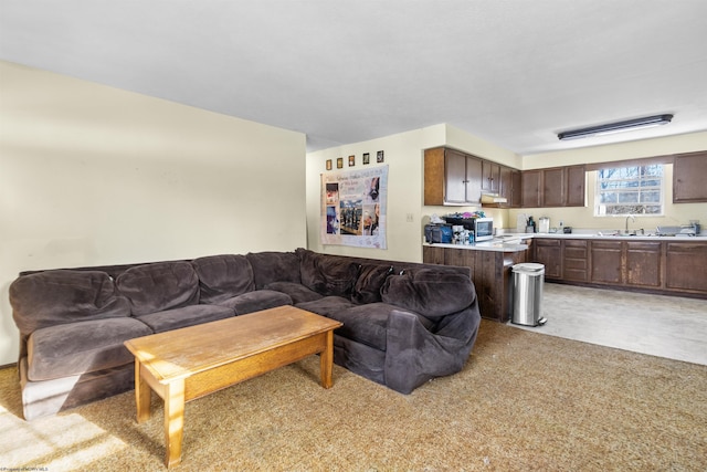 view of carpeted living room