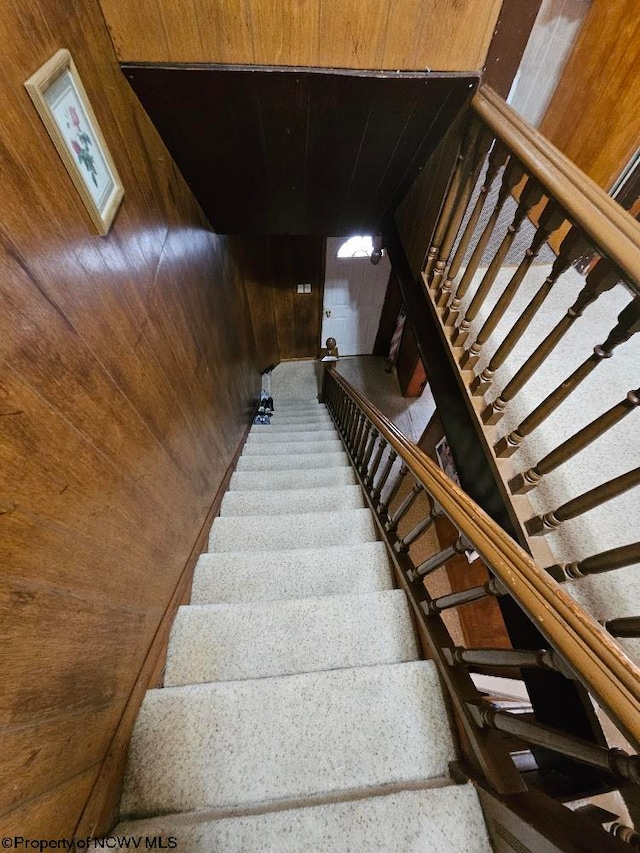 stairway featuring carpet flooring and wooden walls