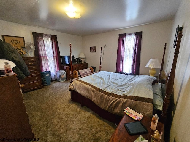 carpeted bedroom with multiple windows