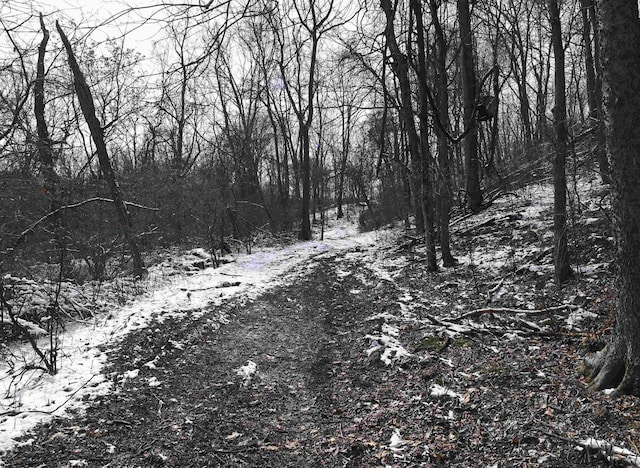 view of snow covered land