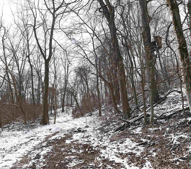 view of snowy landscape