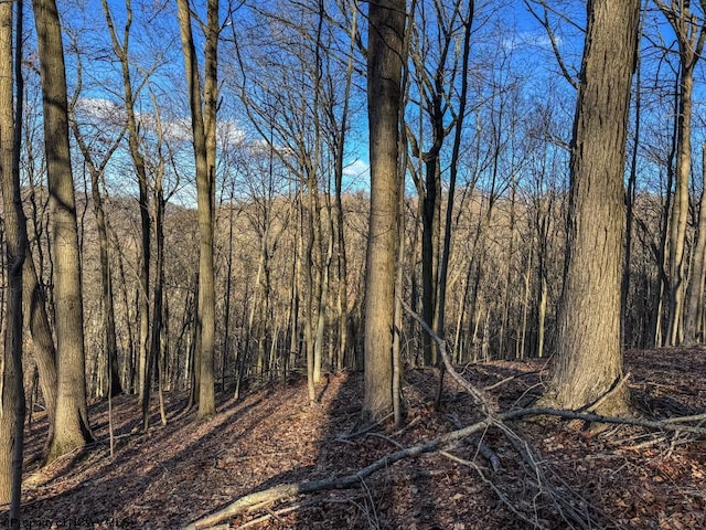 view of nature featuring a forest view