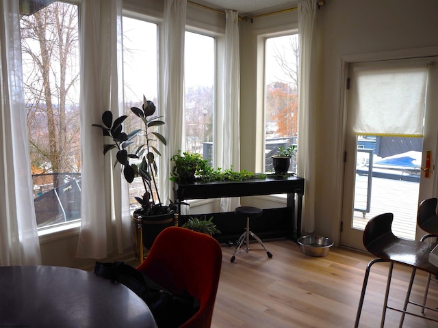 office area featuring wood finished floors