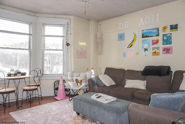 living room featuring wood finished floors and a healthy amount of sunlight