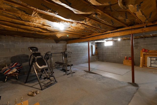 unfinished basement featuring electric panel