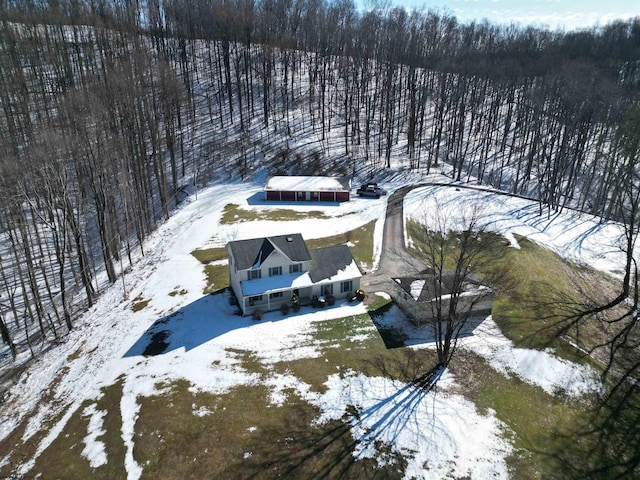 view of snowy aerial view