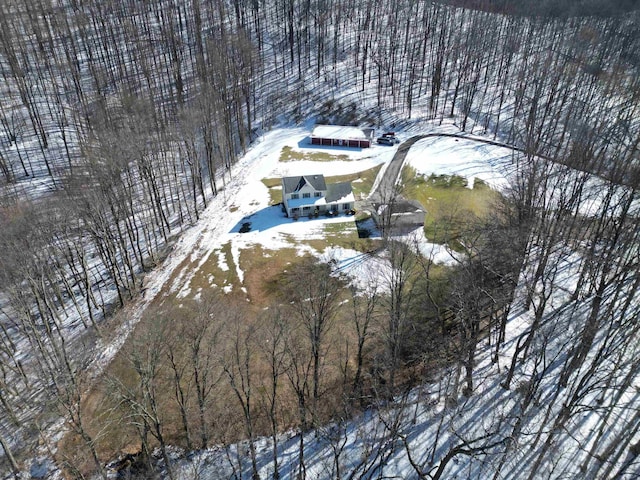 view of snowy aerial view