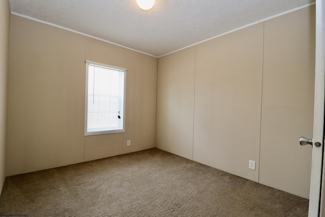 spare room featuring carpet, ornamental molding, and a textured ceiling