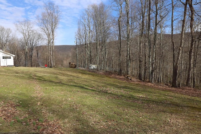 view of yard featuring a view of trees