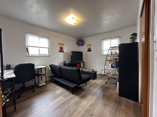 office area featuring wood finished floors