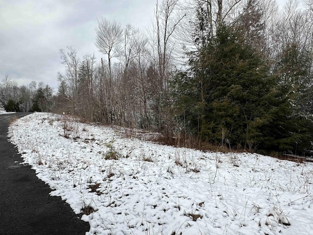 Listing photo 2 for LOT103 Canal St, Davis WV 26260