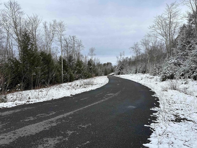 Listing photo 3 for LOT103 Canal St, Davis WV 26260