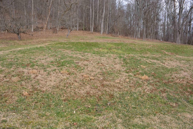 view of yard featuring a forest view