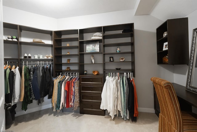 walk in closet with light colored carpet