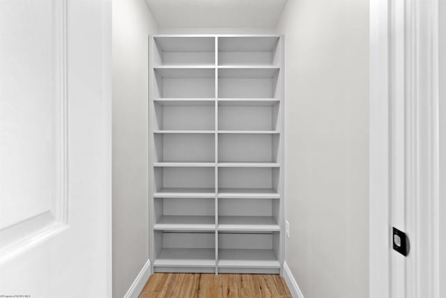 spacious closet featuring wood finished floors