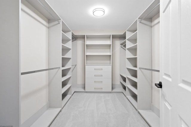 walk in closet with carpet floors