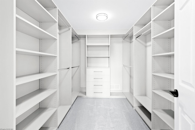 spacious closet featuring carpet flooring