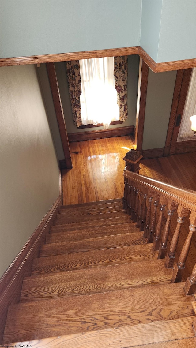 stairway with hardwood / wood-style flooring