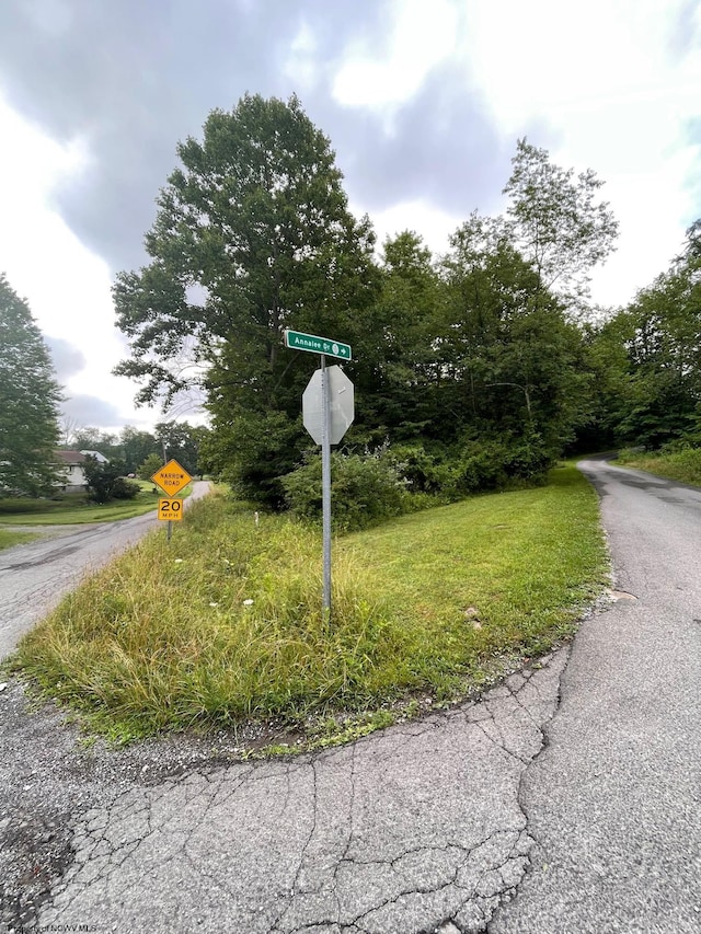 TBD Glassworks Rd, Buckhannon WV, 26201 land for sale